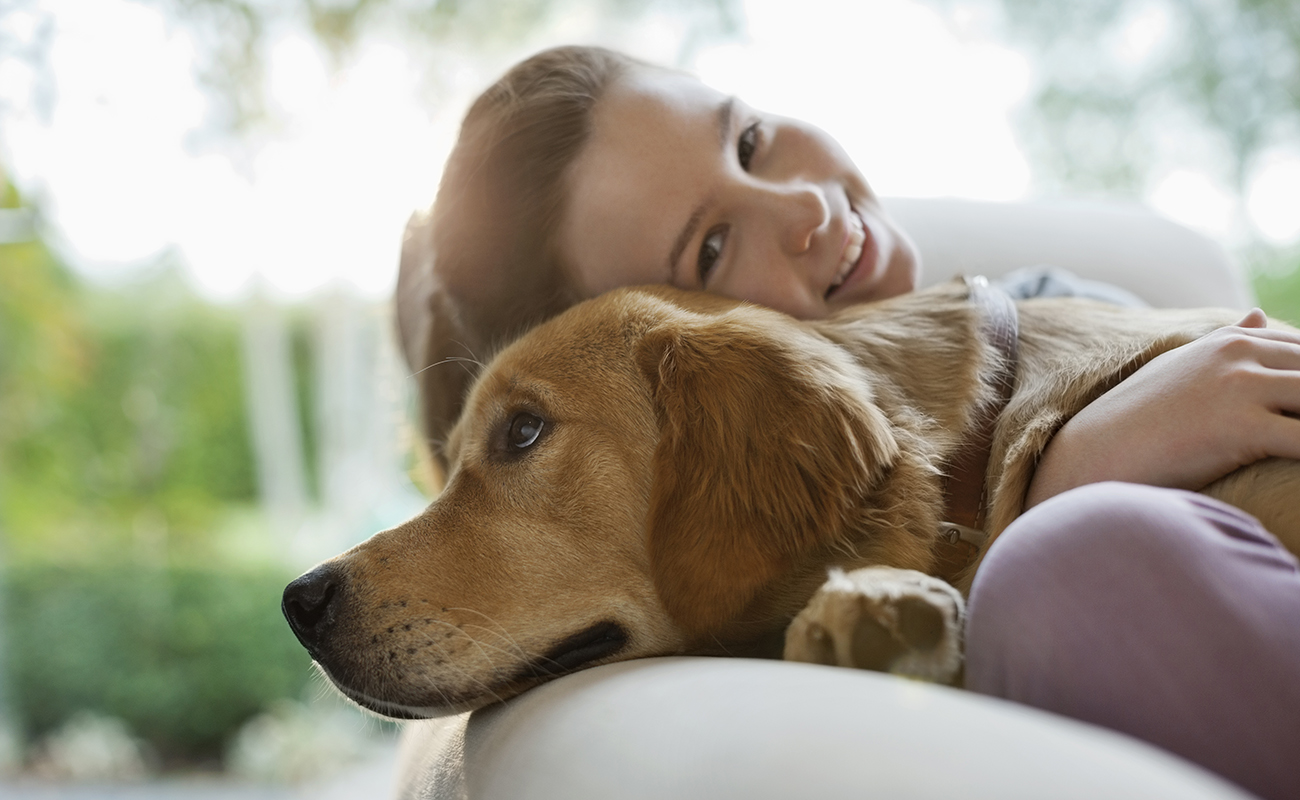 Design Plan (설계)